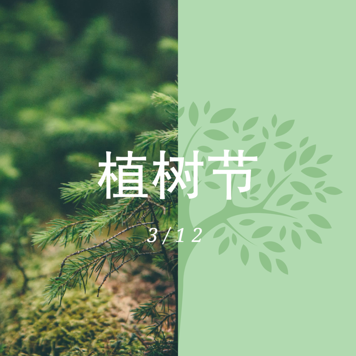 碳减排，中国尊龙官方在行动