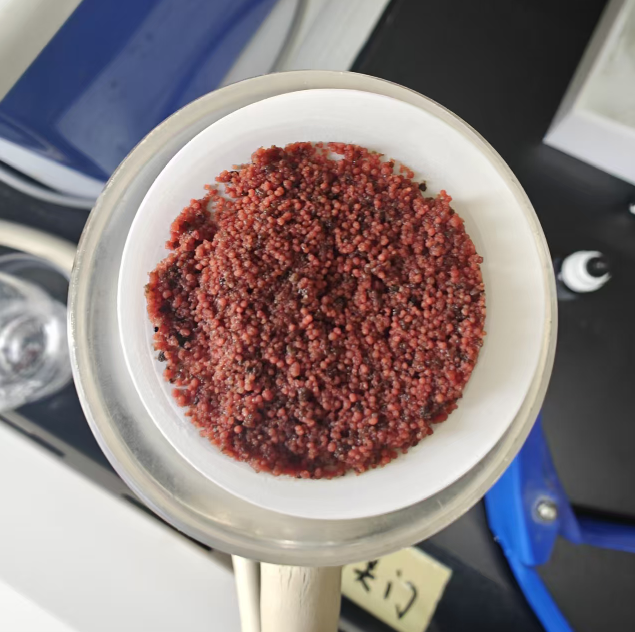 年节碳源超300吨，中国尊龙官方西安江村沟项目厌氧氨氧化工艺实现生态经济双赢